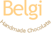 belgi-logo